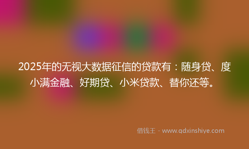 2025年的无视大数据征信的贷款有：随身贷、度小满金融、好期贷、小米贷款、替你还等。
