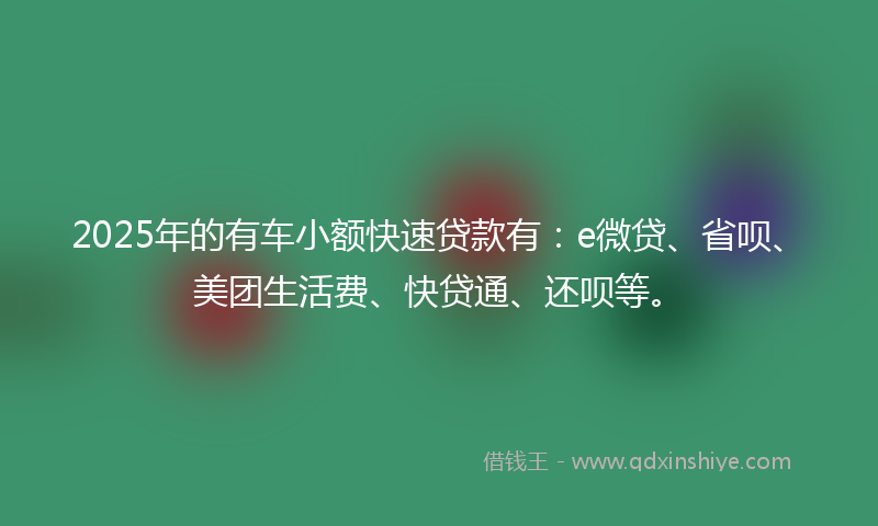 2025年的有车小额快速贷款有：e微贷、省呗、美团生活费、快贷通、还呗等。