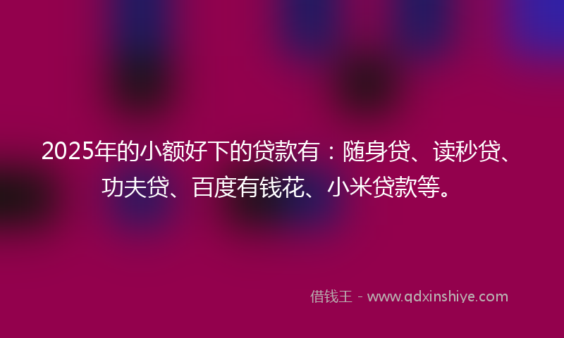 2025年的小额好下的贷款有：随身贷、读秒贷、功夫贷、百度有钱花、小米贷款等。