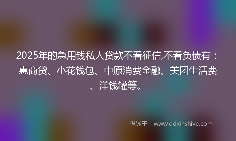 2025年的急用钱私人贷款不看征信,不看负债有：惠商贷、小花钱包、中原消费金融、美团生活费、洋钱罐等。