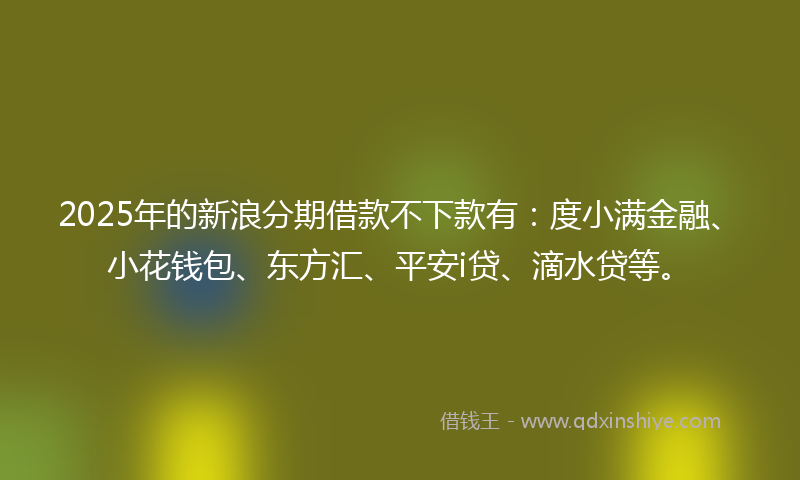 2025年的新浪分期借款不下款有：度小满金融、小花钱包、东方汇、平安i贷、滴水贷等。