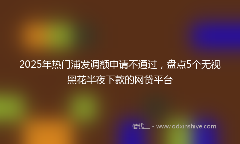 2025年热门浦发调额申请不通过，盘点5个无视黑花半夜下款的网贷平台