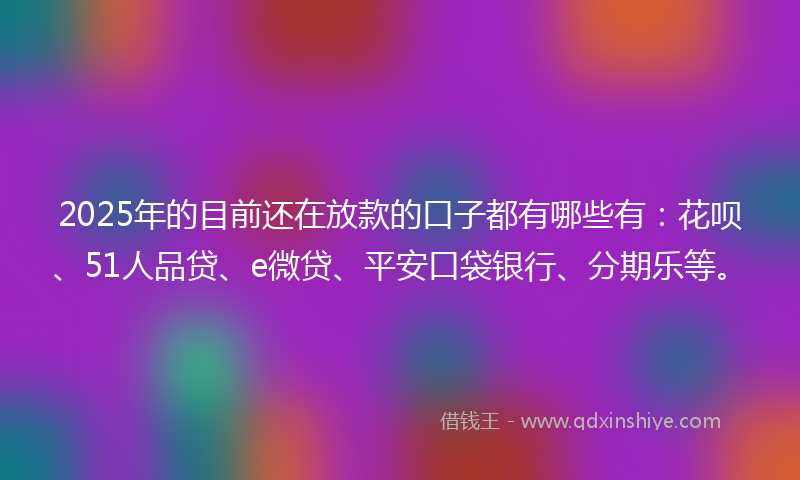 2025年的目前还在放款的口子都有哪些有：花呗、51人品贷、e微贷、平安口袋银行、分期乐等。