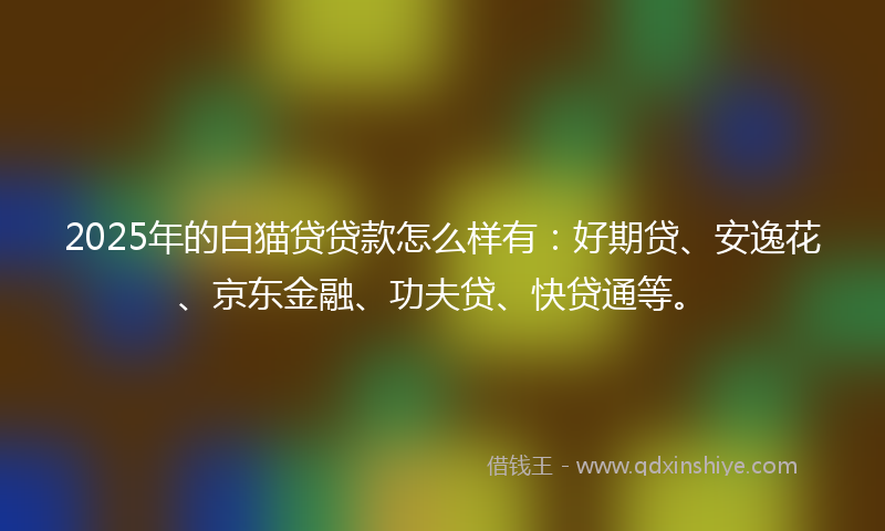 2025年的白猫贷贷款怎么样有：好期贷、安逸花、京东金融、功夫贷、快贷通等。