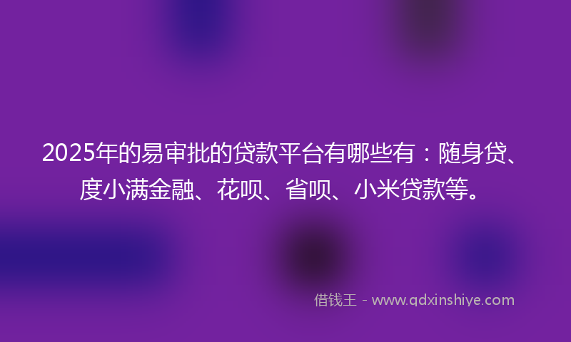 2025年的易审批的贷款平台有哪些有：随身贷、度小满金融、花呗、省呗、小米贷款等。