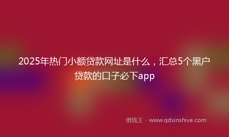 2025年热门小额贷款网址是什么，汇总5个黑户贷款的口子必下app
