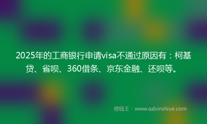 2025年的工商银行申请visa不通过原因有：柯基贷、省呗、360借条、京东金融、还呗等。