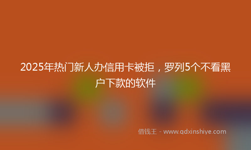 2025年热门新人办信用卡被拒，罗列5个不看黑户下款的软件