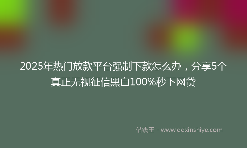2025年热门放款平台强制下款怎么办，分享5个真正无视征信黑白100%秒下网贷