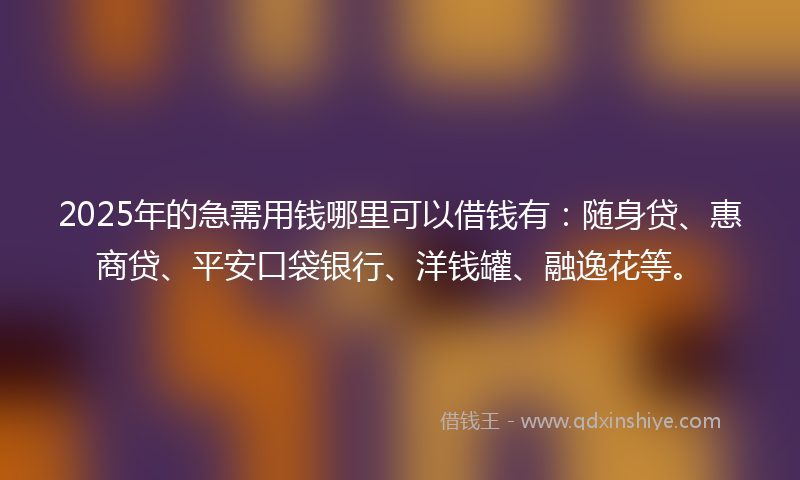 2025年的急需用钱哪里可以借钱有：随身贷、惠商贷、平安口袋银行、洋钱罐、融逸花等。