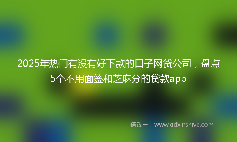 2025年热门有没有好下款的口子网贷公司，盘点5个不用面签和芝麻分的贷款app