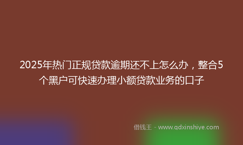 2025年热门正规贷款逾期还不上怎么办，整合5个黑户可快速办理小额贷款业务的口子