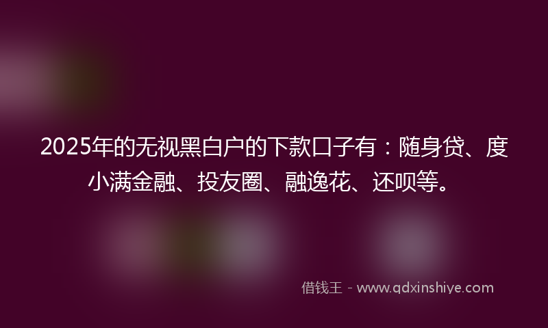 2025年的无视黑白户的下款口子有：随身贷、度小满金融、投友圈、融逸花、还呗等。