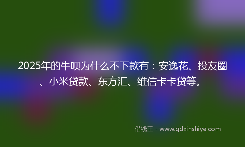 2025年的牛呗为什么不下款有：安逸花、投友圈、小米贷款、东方汇、维信卡卡贷等。