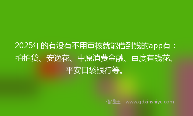 2025年的有没有不用审核就能借到钱的app有：拍拍贷、安逸花、中原消费金融、百度有钱花、平安口袋银行等。