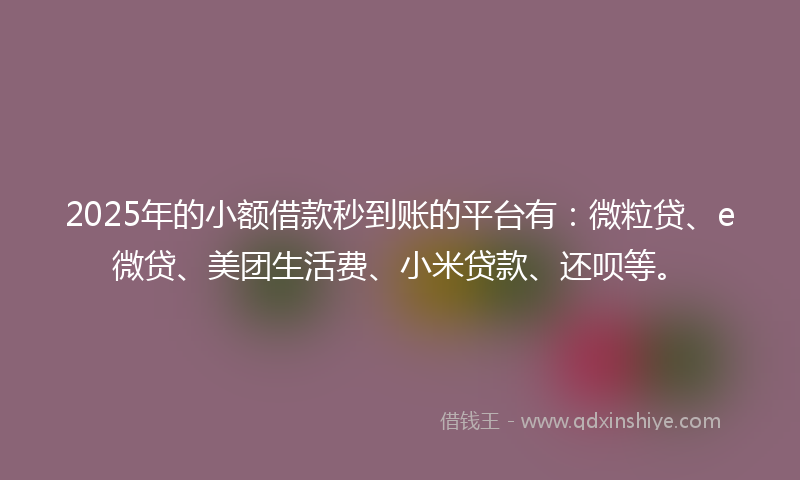 2025年的小额借款秒到账的平台有:微粒贷、e微贷、美团生活费、小米贷款、还呗等。