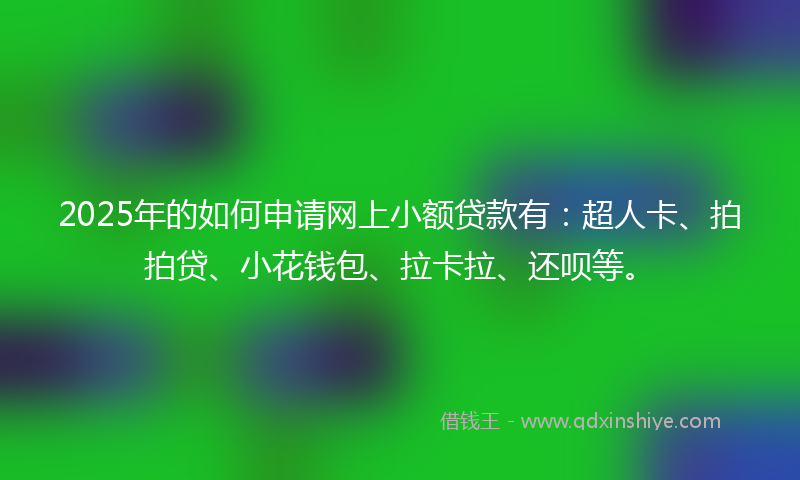 2025年的如何申请网上小额贷款有：超人卡、拍拍贷、小花钱包、拉卡拉、还呗等。
