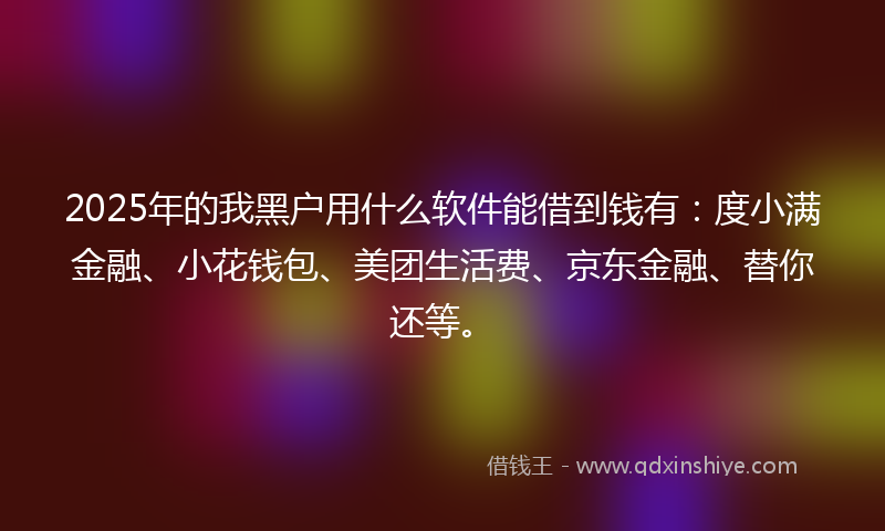2025年的我黑户用什么软件能借到钱有：度小满金融、小花钱包、美团生活费、京东金融、替你还等。