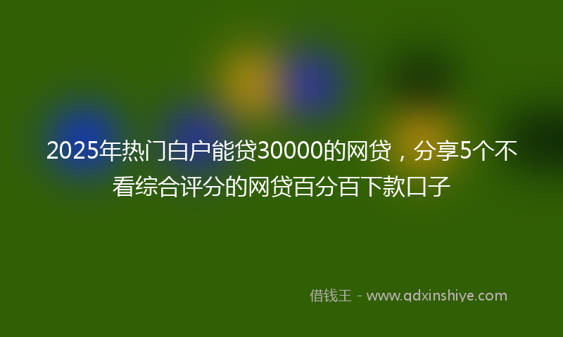 2025年热门白户能贷30000的网贷，分享5个不看综合评分的网贷百分百下款口子