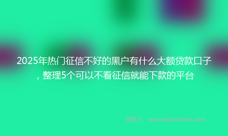 2025年热门征信不好的黑户有什么大额贷款口子，整理5个可以不看征信就能下款的平台