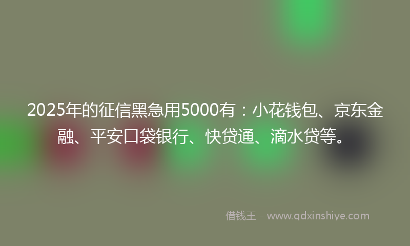 2025年的征信黑急用5000有：小花钱包、京东金融、平安口袋银行、快贷通、滴水贷等。