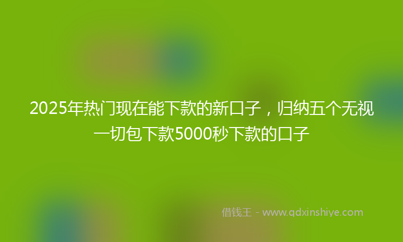 2025年热门现在能下款的新口子，归纳五个无视一切包下款5000秒下款的口子