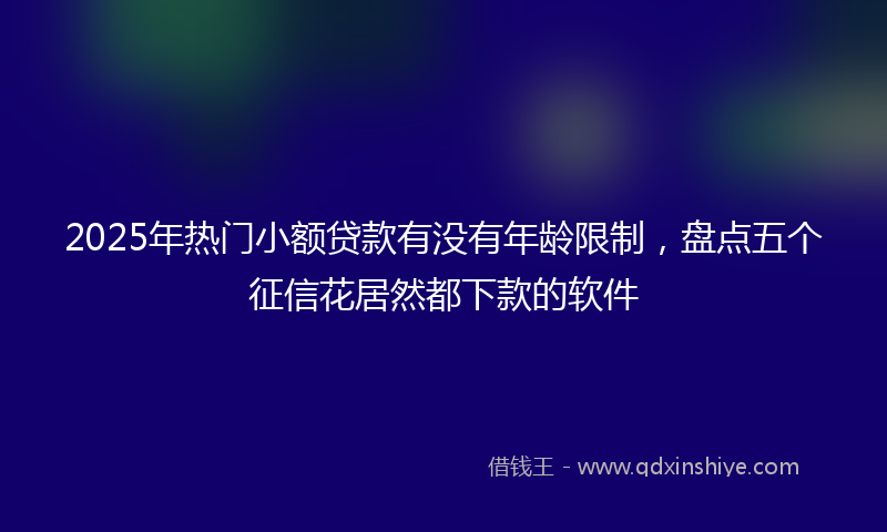 2025年热门小额贷款有没有年龄限制，盘点五个征信花居然都下款的软件