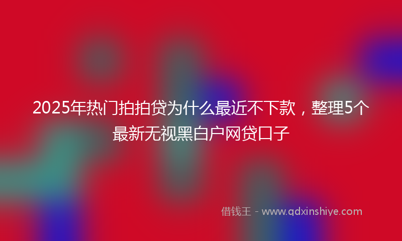 2025年热门拍拍贷为什么最近不下款，整理5个最新无视黑白户网贷口子