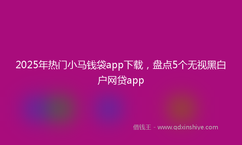 2025年热门小马钱袋app下载，盘点5个无视黑白户网贷app