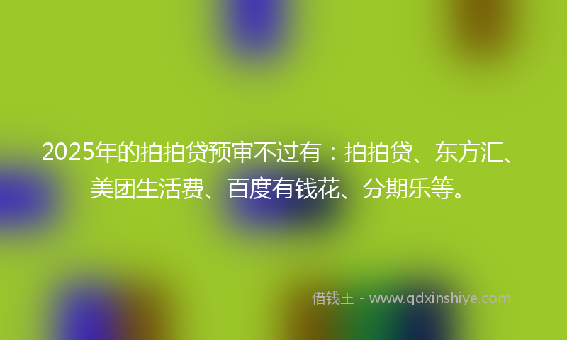 2025年的拍拍贷预审不过有：拍拍贷、东方汇、美团生活费、百度有钱花、分期乐等。
