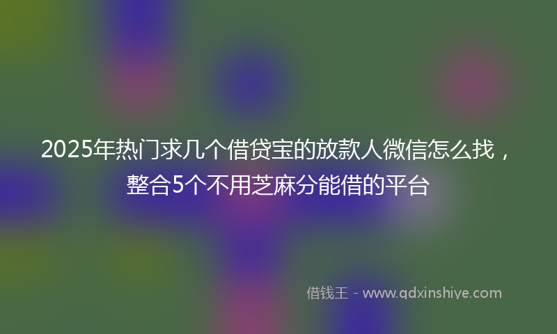 2025年热门求几个借贷宝的放款人微信怎么找，整合5个不用芝麻分能借的平台