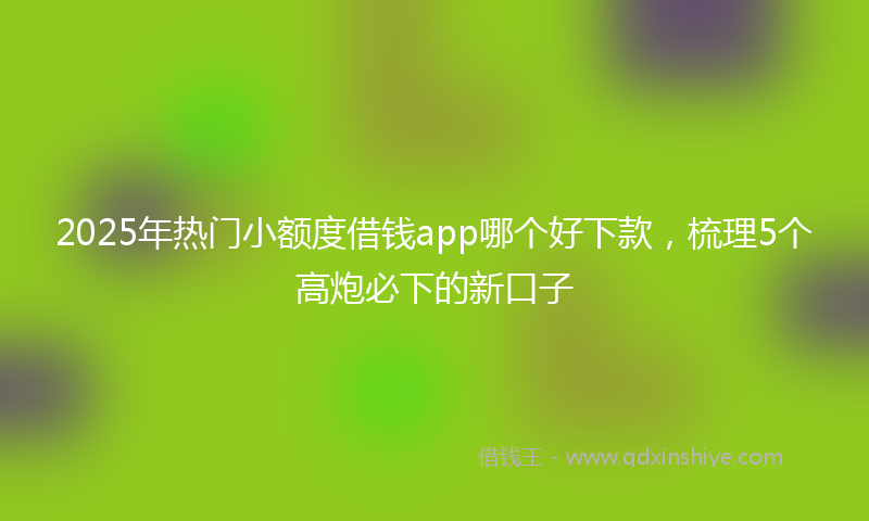 2025年热门小额度借钱app哪个好下款，梳理5个高炮必下的新口子