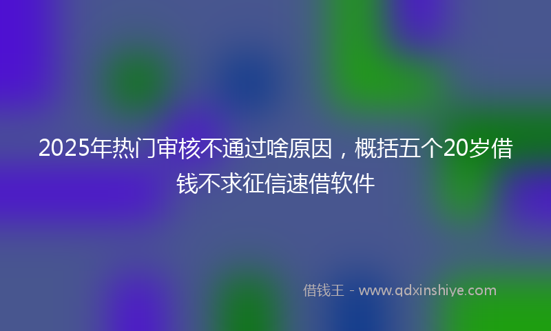2025年热门审核不通过啥原因，概括五个20岁借钱不求征信速借软件