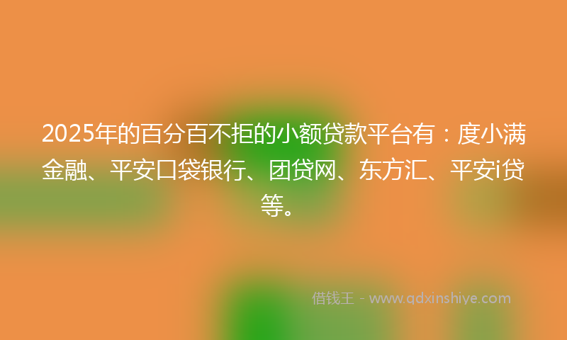 2025年的百分百不拒的小额贷款平台有：度小满金融、平安口袋银行、团贷网、东方汇、平安i贷等。