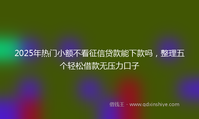 2025年热门小额不看征信贷款能下款吗，整理五个轻松借款无压力口子