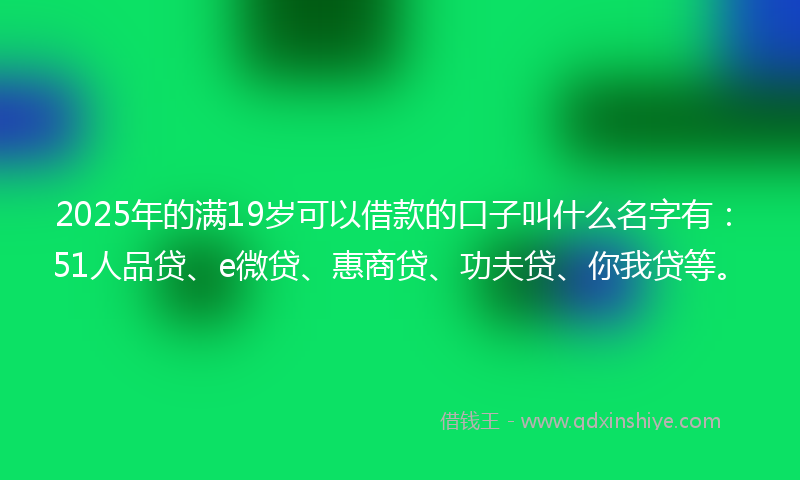 2025年的满19岁可以借款的口子叫什么名字有：51人品贷、e微贷、惠商贷、功夫贷、你我贷等。