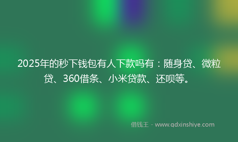 2025年的秒下钱包有人下款吗有：随身贷、微粒贷、360借条、小米贷款、还呗等。