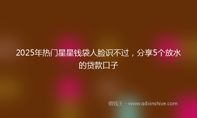 2025年热门星星钱袋人脸识不过，分享5个放水的贷款口子