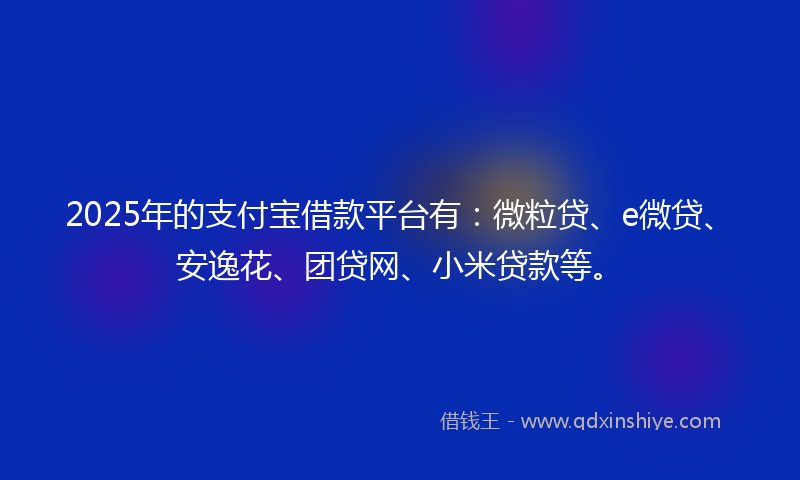 2025年的支付宝借款平台有：微粒贷、e微贷、安逸花、团贷网、小米贷款等。