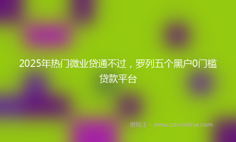 2025年热门微业贷通不过，罗列五个黑户0门槛贷款平台