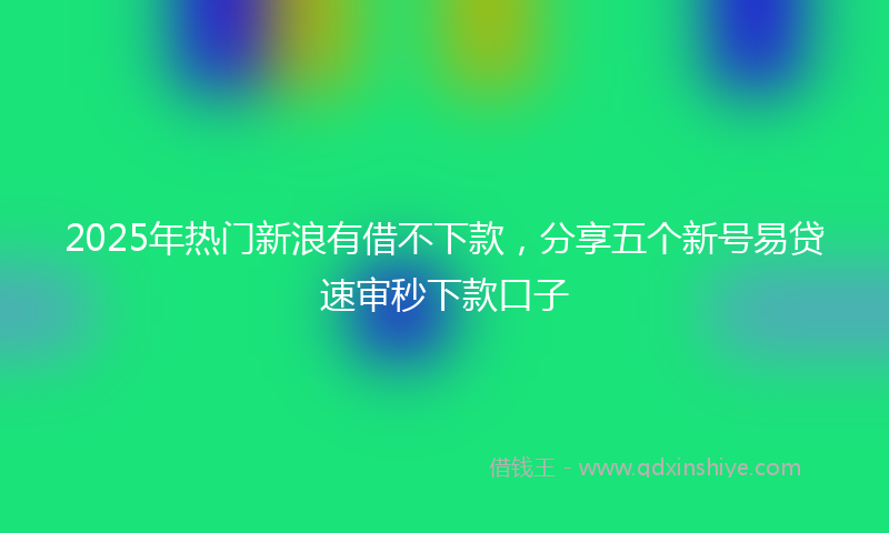 2025年热门新浪有借不下款，分享五个新号易贷速审秒下款口子
