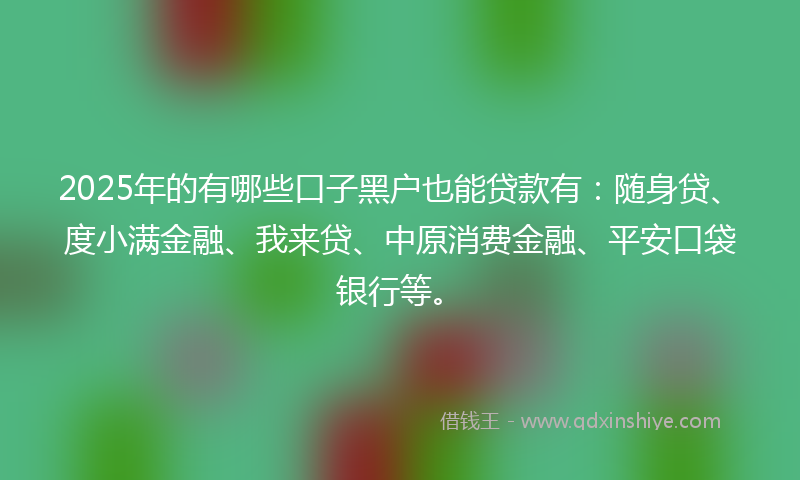 2025年的有哪些口子黑户也能贷款有：随身贷、度小满金融、我来贷、中原消费金融、平安口袋银行等。