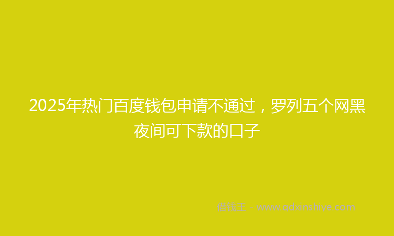 2025年热门百度钱包申请不通过，罗列五个网黑夜间可下款的口子