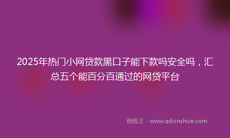 2025年热门小网贷款黑口子能下款吗安全吗，汇总五个能百分百通过的网贷平台