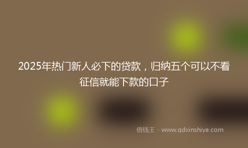 2025年热门新人必下的贷款，归纳五个可以不看征信就能下款的口子