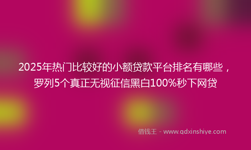 2025年热门比较好的小额贷款平台排名有哪些，罗列5个真正无视征信黑白100%秒下网贷