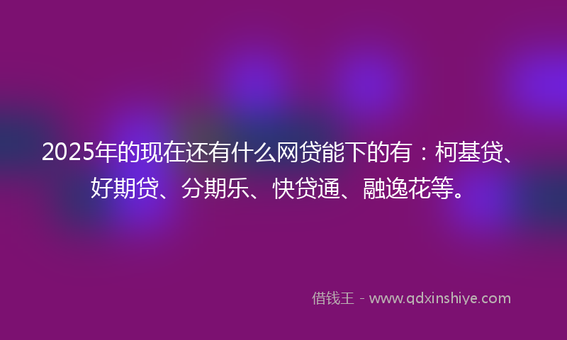 2025年的现在还有什么网贷能下的有：柯基贷、好期贷、分期乐、快贷通、融逸花等。