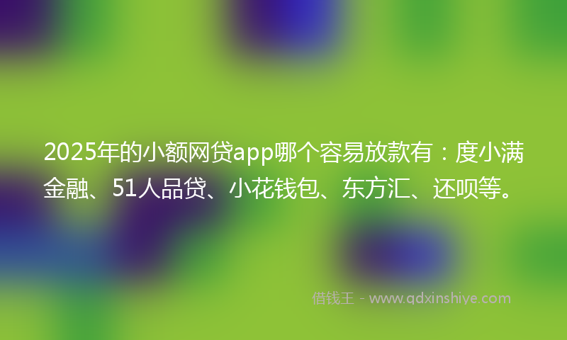 2025年的小额网贷app哪个容易放款有：度小满金融、51人品贷、小花钱包、东方汇、还呗等。