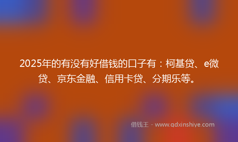 2025年的有没有好借钱的口子有：柯基贷、e微贷、京东金融、信用卡贷、分期乐等。