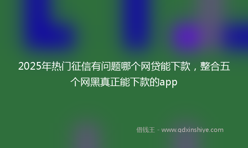 2025年热门征信有问题哪个网贷能下款，整合五个网黑真正能下款的app